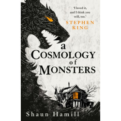 A Cosmology of Monsters