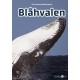 Blåhvalen