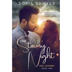One Stormy Night