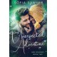 One Unexpected Adventure