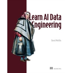 Learn AI Data Engineering