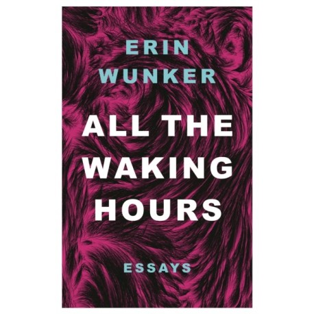 All The Waking Hours: Essays