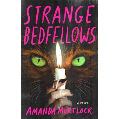 Strange Bedfellows: A Novel