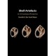 Shell Artefacts: An Archaeological Perspective