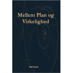 Mellem plan og virkelighed