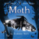 Moth: An Evolution Story