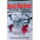 Blood Red Snow: The Memoirs of a German Soldier on the Eastern Front