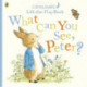 What Can You See Peter?: Very Big Lift the Flap Book