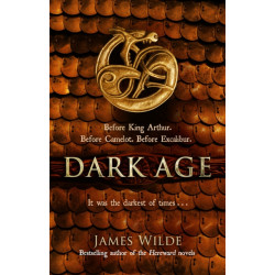 Dark Age: (Dark Age Book 2)
