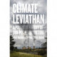 Climate Leviathan: A Political Theory of Our Planetary Future