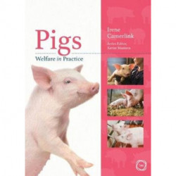 Pigs Welfare in Practice