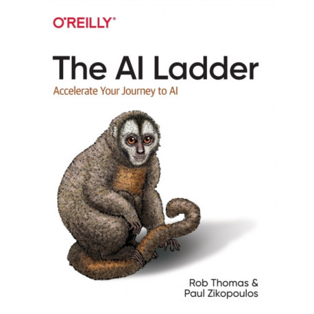 The AI Ladder: Accelerate your journey to AI