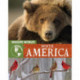 Wildlife Worlds: North America