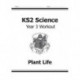 KS2 Science Year 3 Workout: Plant Life