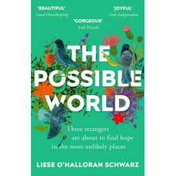 The Possible World