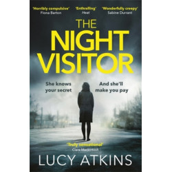 The Night Visitor: the gripping thriller from the author of Magpie Lane