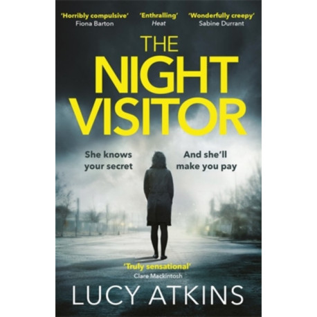 The Night Visitor: the gripping thriller from the author of Magpie Lane