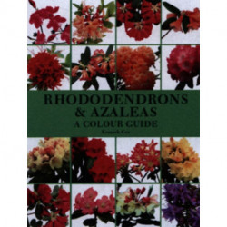 Rhododendrons and Azaleas - A Colour Guide