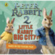 Peter Rabbit 2: Little Rabbit Big City