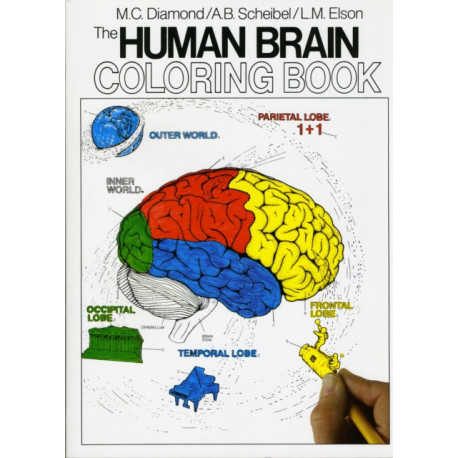The Human Brain Coloring Book: A Coloring Book