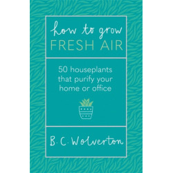 How To Grow Fresh Air: 50 Houseplants To Purify Your Home Or Office