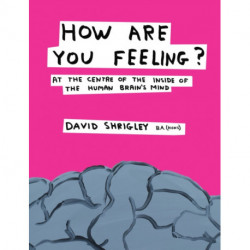 How Are You Feeling?: At the Centre of the Inside of The Human Brain’s Mind