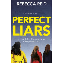 Perfect Liars: Perfect for fans of Big Little Lies