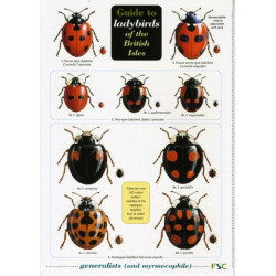 Guide to Lichens of Heaths and Moors