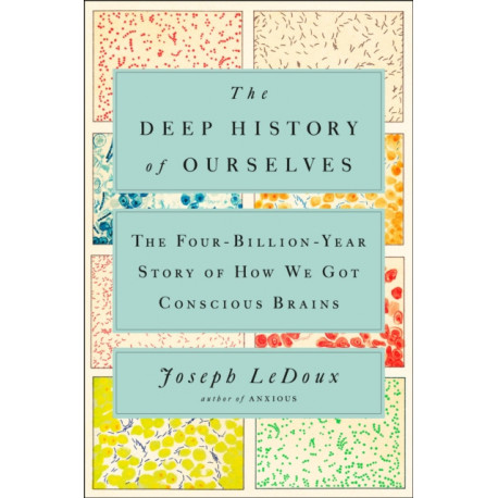 The Deep History of Ourselves: The Four-Billion-Year Story of How We Got Conscious Brains