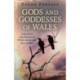 Pagan Portals - Gods and Goddesses of Wales: A practical introduction to Welsh deities and their stories