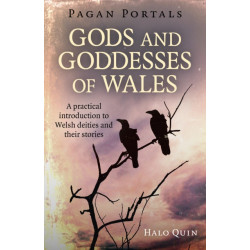 Pagan Portals - Gods and Goddesses of Wales: A practical introduction to Welsh deities and their stories