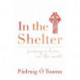 In the Shelter: Finding a Home in the World