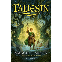 Taliesin: A Bloomsbury Reader: Grey Book Band