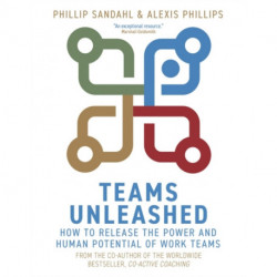 Teams Unleashed: How to Release the Power and Human Potential of Work Teams