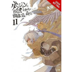 Is It Wrong to Try to Pick Up Girls in a Dungeon?, Vol. 11 (light novel)