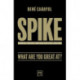 Spike: What are You Great at?