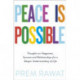 Peace Is Possible: Thoughts on happiness, success and relationships for a deeper understanding of life