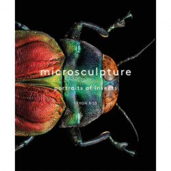 Microsculpture: Portraits of Insects