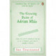 The Growing Pains of Adrian Mole: Adrian Mole Book 2
