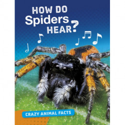 How Do Spiders Hear?