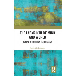 The Labyrinth of Mind and World: Beyond Internalism–Externalism