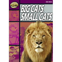 Rapid Reading: Big Cats Small Cats (Stage 1, Level 1A)