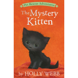 The Mystery Kitten