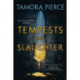 Tempests and Slaughter (The Numair Chronicles, Book One)