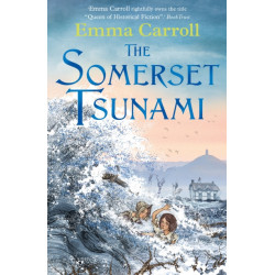 The Somerset Tsunami: 'The Queen of historical fiction.' Guardian