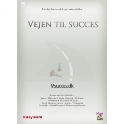 Vejen til succes