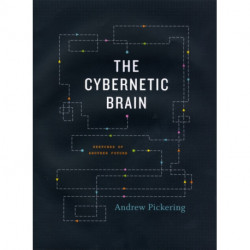 The Cybernetic Brain: Sketches of Another Future