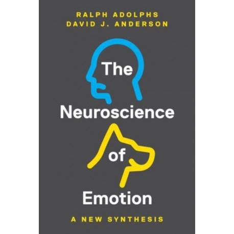 The Neuroscience of Emotion: A New Synthesis