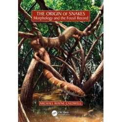 The Origin of Snakes: Morphology and the Fossil Record