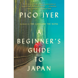 A Beginner's Guide to Japan: Observations and Provocations